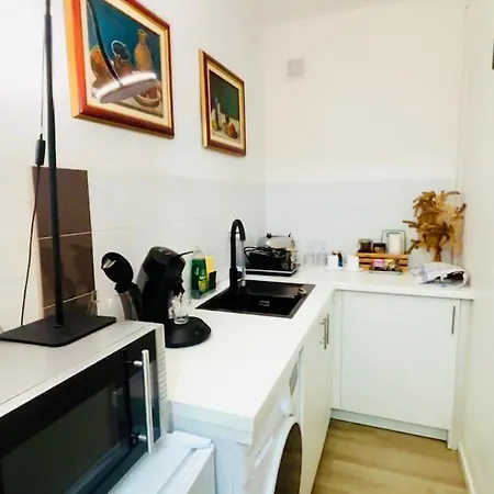 With Bathroom And Small Kitchen دْراسي