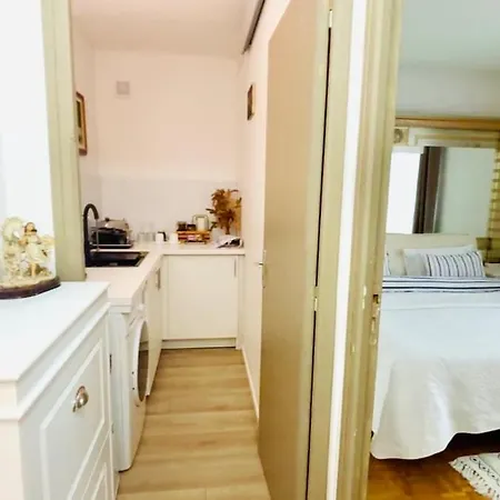 Apartment With Bathroom And Small Kitchen